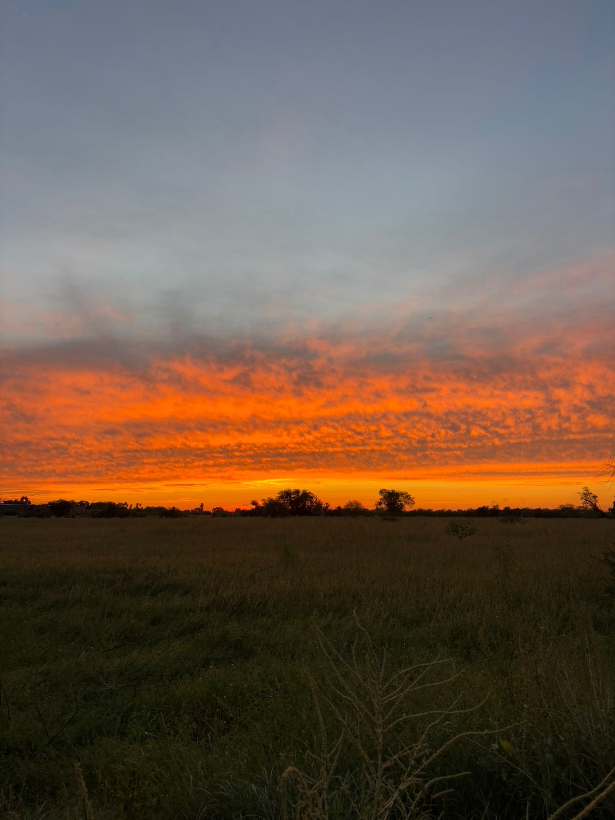 El reloj sigue corriendo.